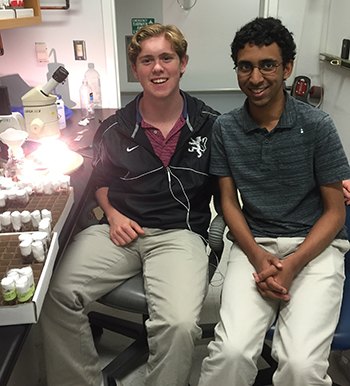 Myles Hagney '17 and Arjun Rajan '17 at the fly station in Kim's Stanford lab during the 2016 internship program.